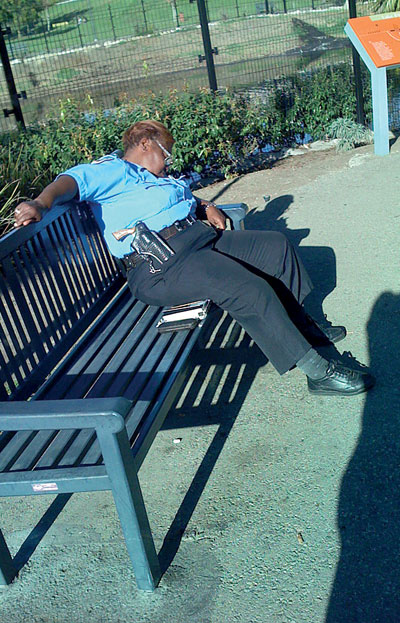 Fat Cop