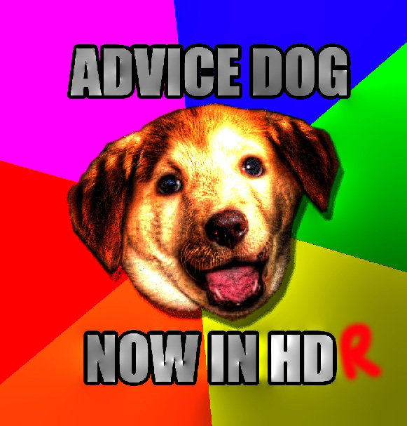 Advice Dog