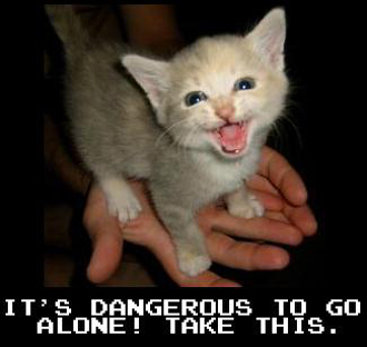 Dangerous Alone Cat
