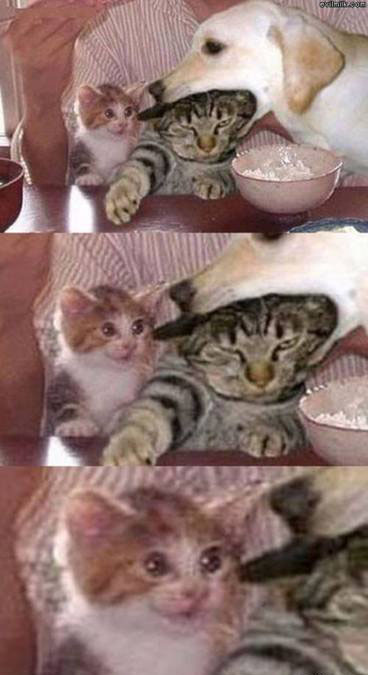 Oh noes!