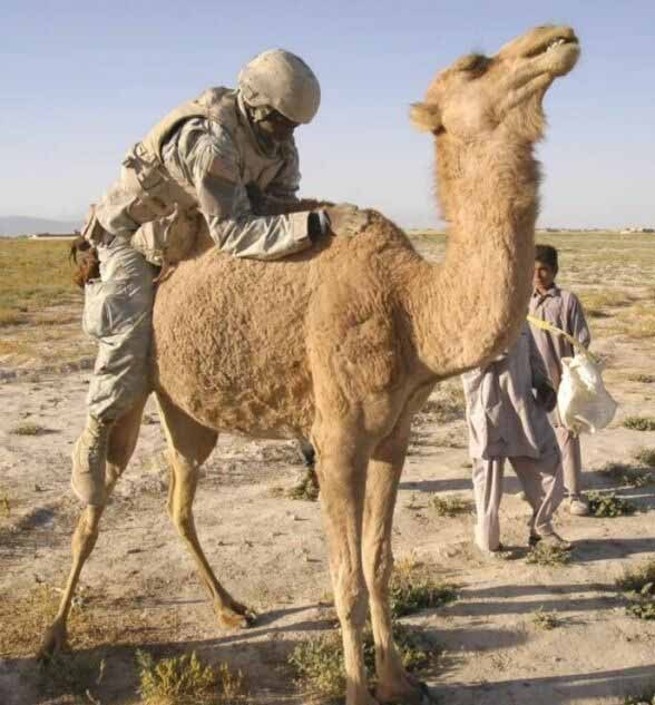 Iraqi Girls are hairy