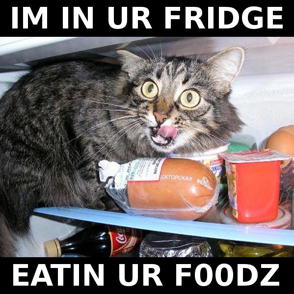 Caught in the act
