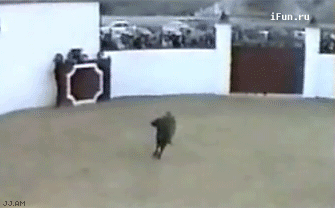 Children should not bulfight