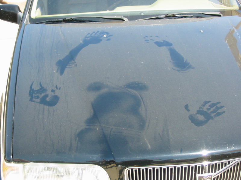 carfornication