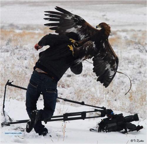 Eagle!