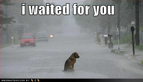 lonely
