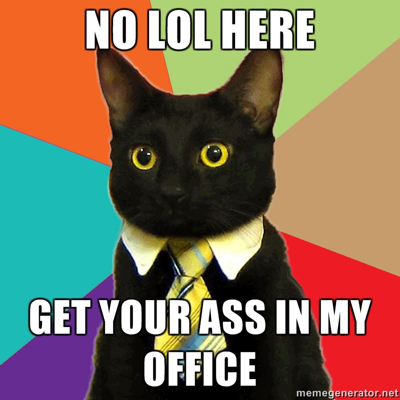 No LOL Cat