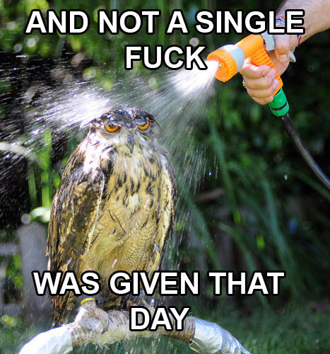Not a single
