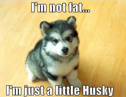 Little Huskey