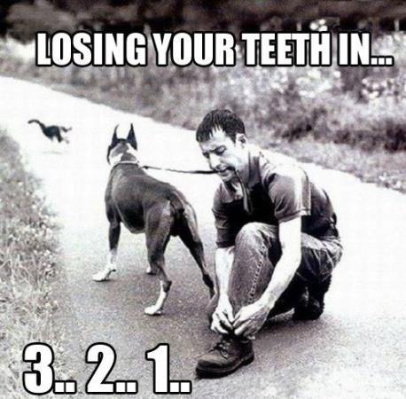 Losing Teeth