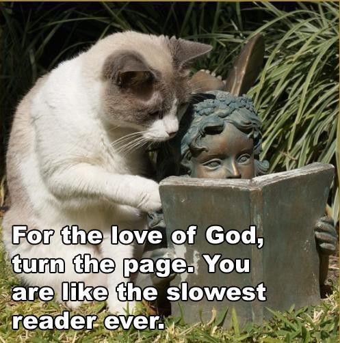 Turn the Page