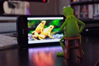 Kermit Porn