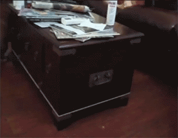 Perpetual motion bulldog
