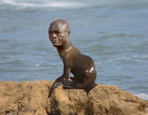 Seal