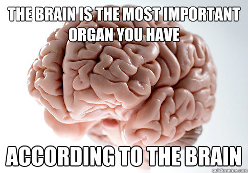 Brain - The most important organ