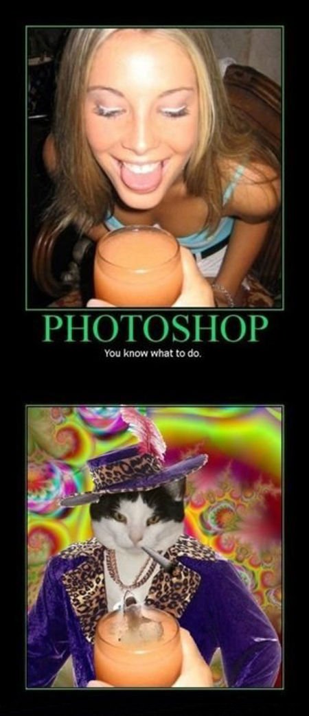 photoshop it
