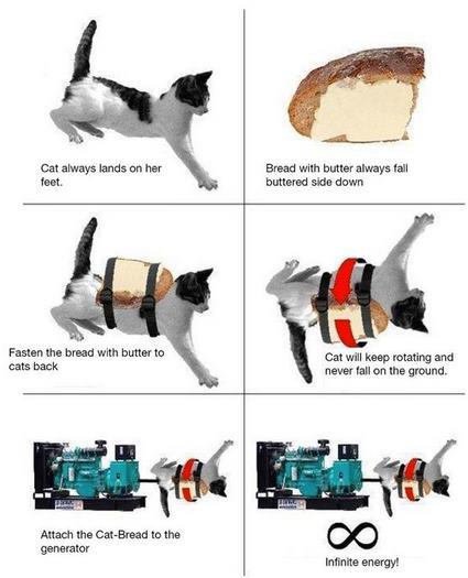 cat generator