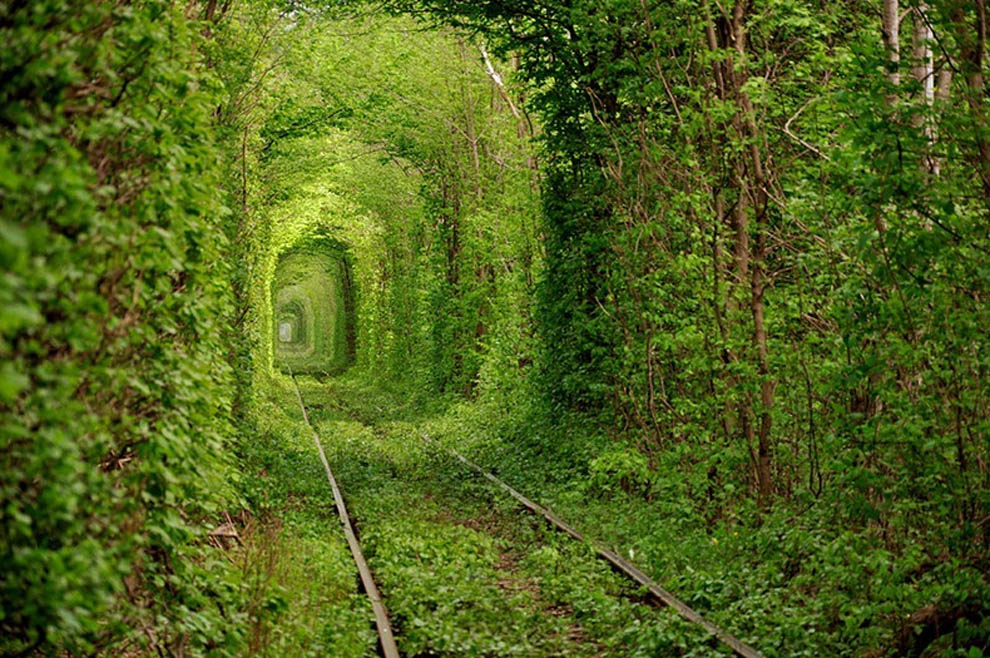 cool green tunnel