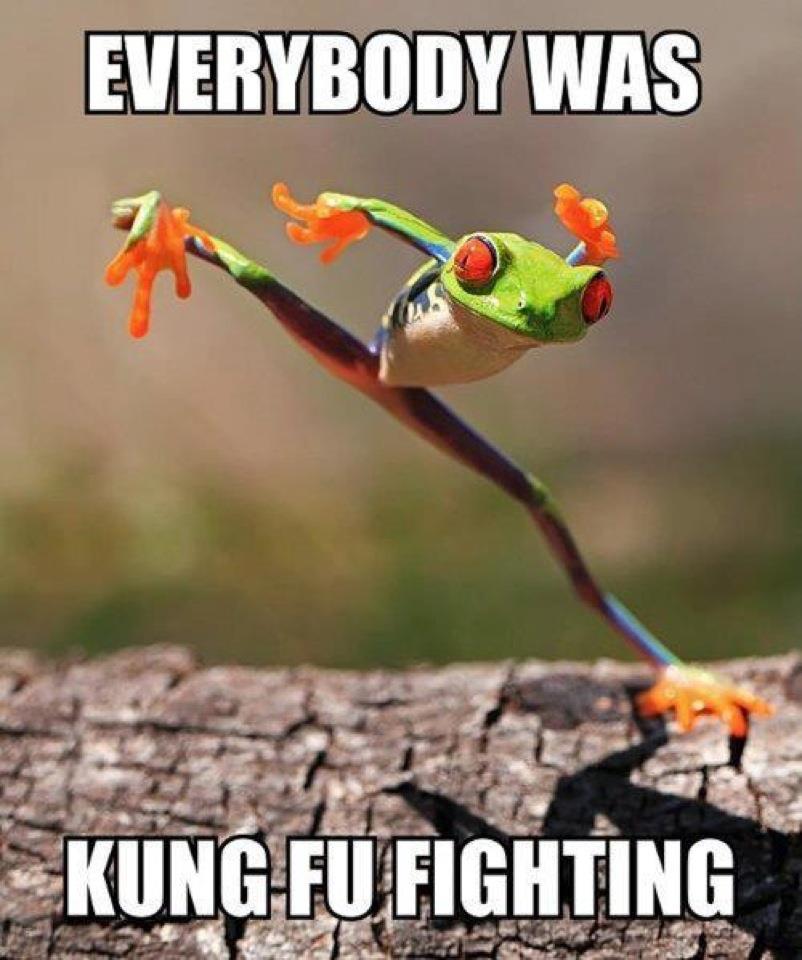 kung-fu fighting