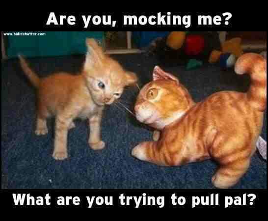 are you mocking me?