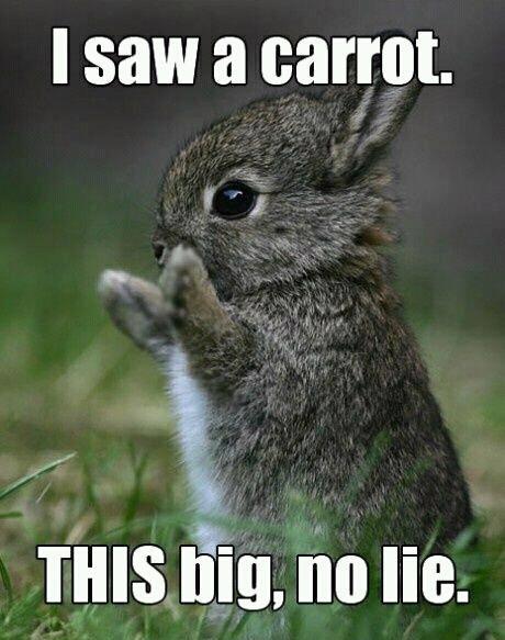 saw a carrot, this big