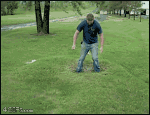 water under grass