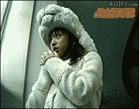 polar bear seal hat