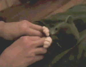 cute explosion