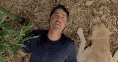 lost-ending