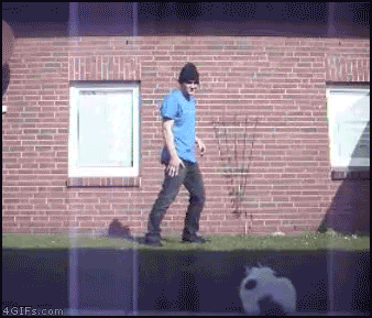 ninja cat
