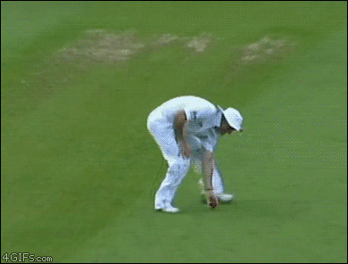 cricket glasses
