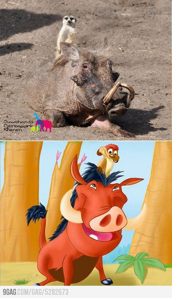spot the difference