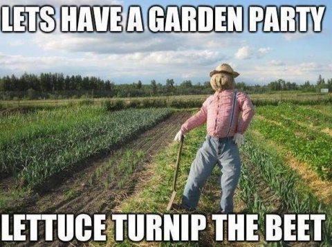 let's have a garden party