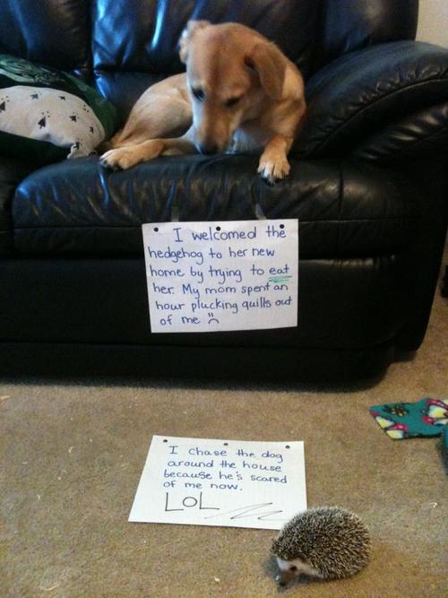 lesson learned