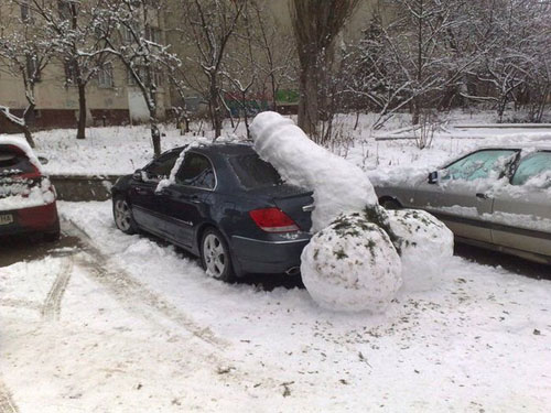 snowed in car
