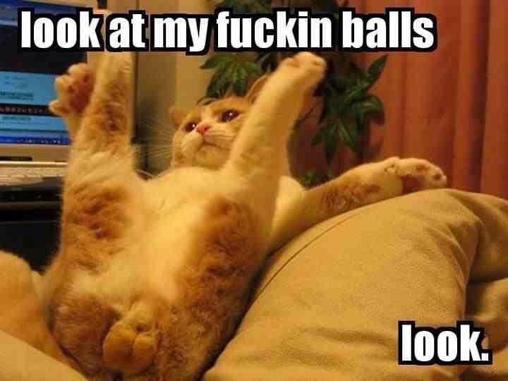 look at my balls
