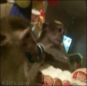 Scared Monkey