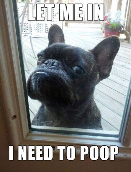 Let me in!