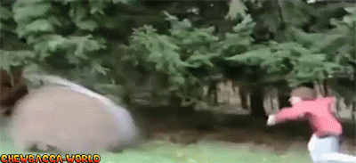 Hay Bail Fail